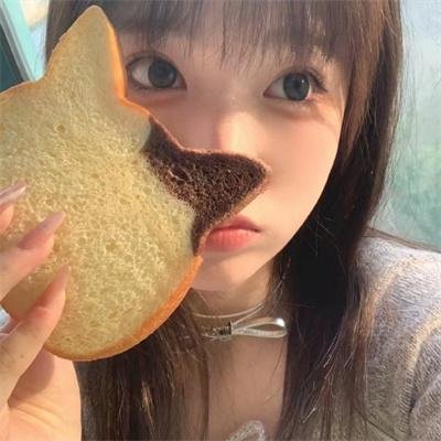 怪猫菲力兹